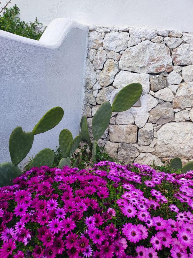 Dimora Mediterranea Mattinata Exterior foto