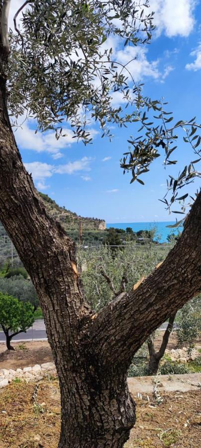 Dimora Mediterranea Mattinata Exterior foto