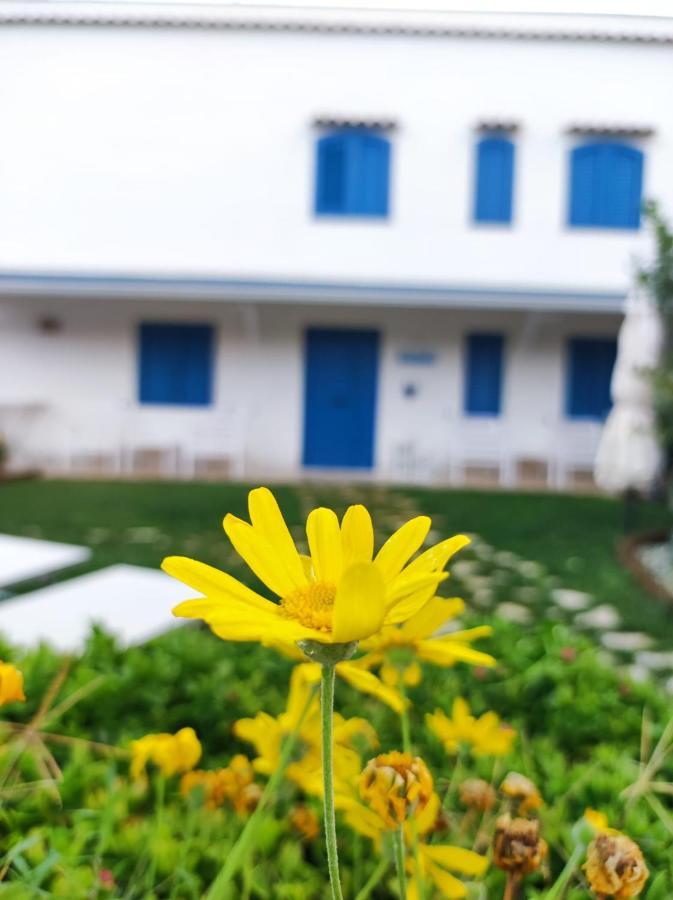 Dimora Mediterranea Mattinata Exterior foto