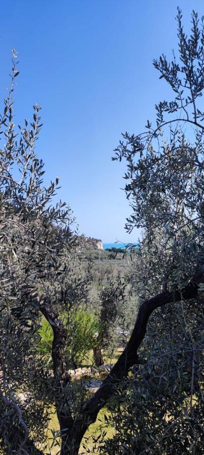 Dimora Mediterranea Mattinata Exterior foto